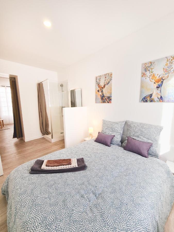 Le Valmy #4 - Cosy Studio - Grenoble Apartment Bagian luar foto